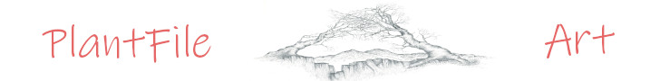 PlantFile