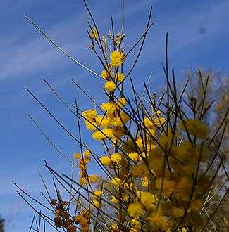PlantFile
